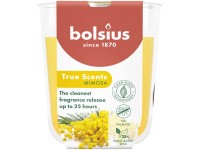 Bolsius True Scents illatgyertya 73x80mm, Mimosa